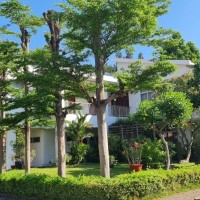 KHU BIỆT THƯ VANI VILLAS